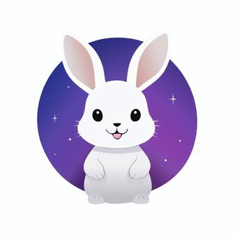 夜空とうさぎのイラスト 夜空とうさぎのイラスト うさぎ,白,かわいいのイラスト素材