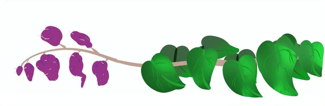 掘れたてさつまいも さつまいも,芋掘り,蔓付き,収穫,横長,シンプルのイラスト素材