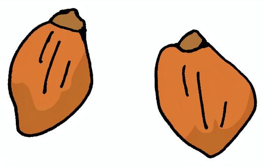 干し柿 干し柿,柿,果物,ドライフルーツ,干す,食材,おやつ,美容,健康,食物繊維のイラスト素材