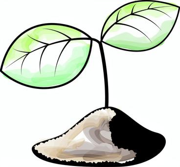 雙葉芽生長土壤性質簡單, JPG, PNG 和 AI 雙葉芽生長土壤性質簡單, , JPG, PNG 和 AI
