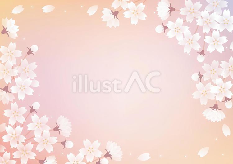 桜のフレーム（ヨコ）グラデーション 桜,フレーム,枠のイラスト素材