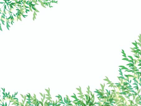 新緑と若葉＿ボタニカルな背景 新緑,若葉,葉,枝,植物,葉っぱ,緑,グリーン,ボタニカル,植物由来のイラスト素材