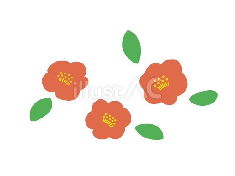 椿たち ツバキ,花,赤のイラスト素材
