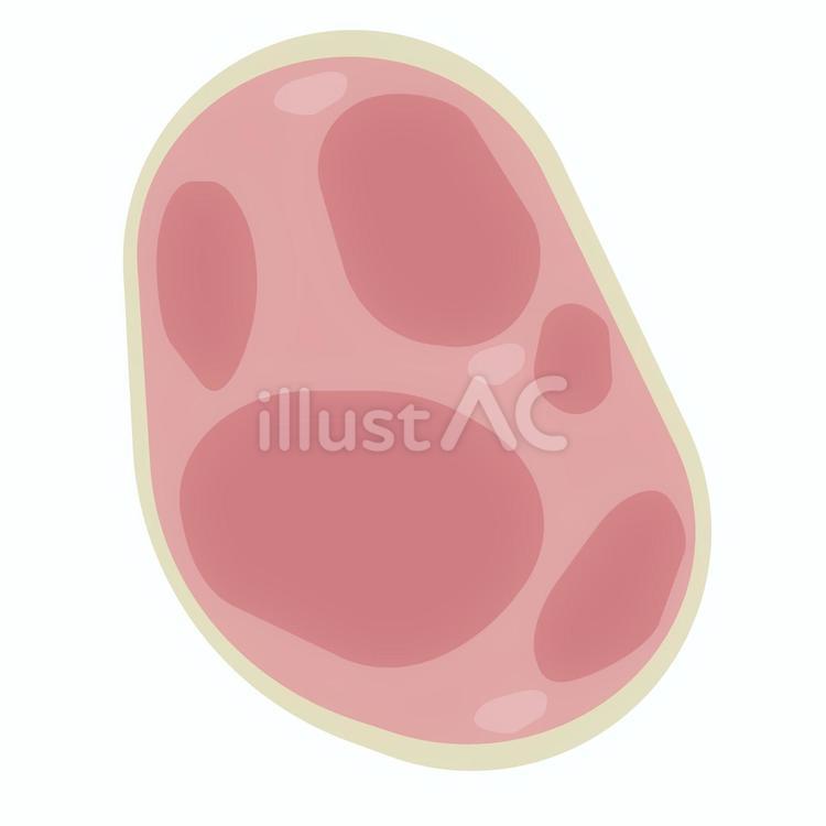 ハム 肉,ハム,豚肉のイラスト素材