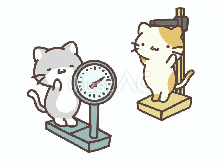 猫さんの身体測定 猫,身体測定,身長のイラスト素材