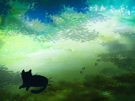うっそうとした森と猫 猫,シルエット,テキストスペース,コピースペース,自然のイラスト素材