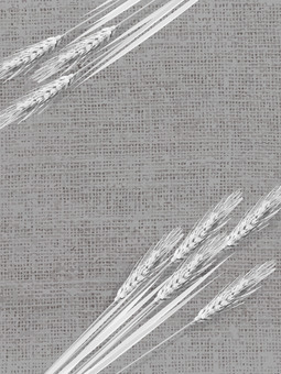 白黒の麦穂と麻布の背景　mugi011 麦穂,白黒,リアル,ナチュラル,お洒落,自然,植物,大人っぽい,枠,背景のイラスト素材