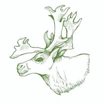 Illustration, moose, mammalian, herbivore, 