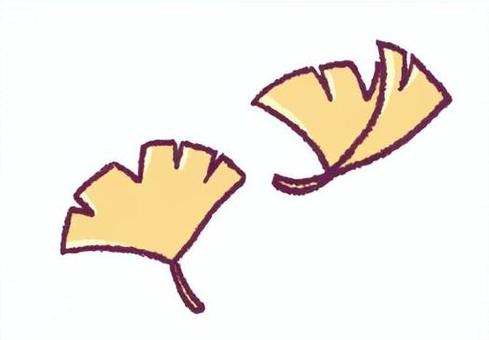銀杏の葉の手描きイラスト