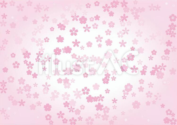 桜13b 桜,花びら,花吹雪のイラスト素材