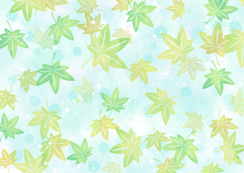 もみじの水彩背景・ブルーグリーン 水彩,背景,もみじ,イラスト,青もみじ,緑,水色,にじみ,葉っぱ,植物のイラスト素材