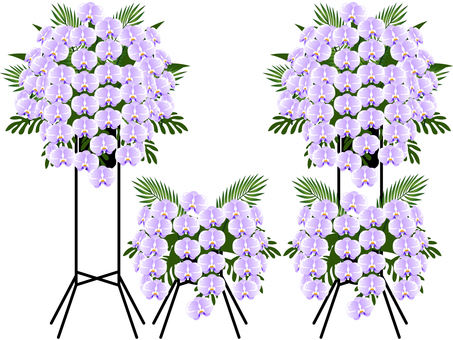 Illustration, phalaenopsis orchid, flower stand, flower, 