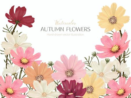 カラフルなコスモスのフレーム コスモス,秋桜,秋,花,花びら,カラフル,9月,10月,開花,満開のイラスト素材