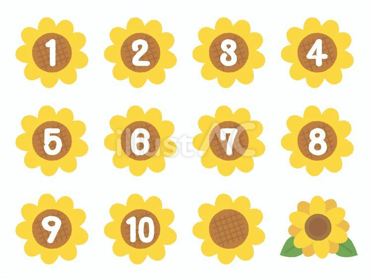 ひまわりの数字セット ひまわり,数字,夏のイラスト素材