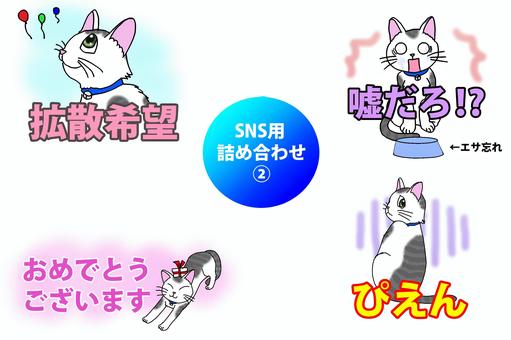 SNSで使える詰め合わせ② sns,感情,猫,スタンプ,かわいいのイラスト素材