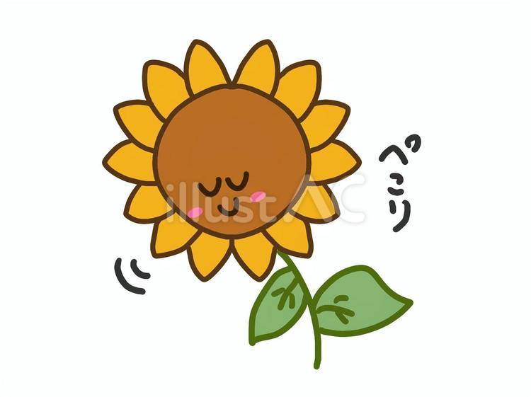 おじぎひまわり お辞儀,ひまわり,夏のイラスト素材