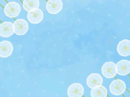たんぽぽの綿毛と青空の背景03 たんぽぽ,綿毛,春,4月,5月,空,花,飛ぶ,舞う,植物のイラスト素材