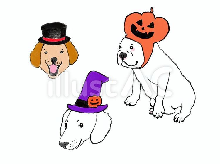 手書き　ハロウィンのコスプレをする犬 犬,ハロウィン,ハロウィーンのイラスト素材