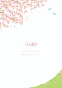 穏やかな桜の風景イラスト 穏やかな桜の風景イラスト 桜,春,植物,背景,花,自然,ナチュラル,ほのぼの,ほんわか,かわいいのイラスト素材