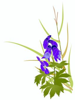 鳥兜 トリカブト,毒草,薬草,青,草花,仲秋,季語,歳時記のイラスト素材