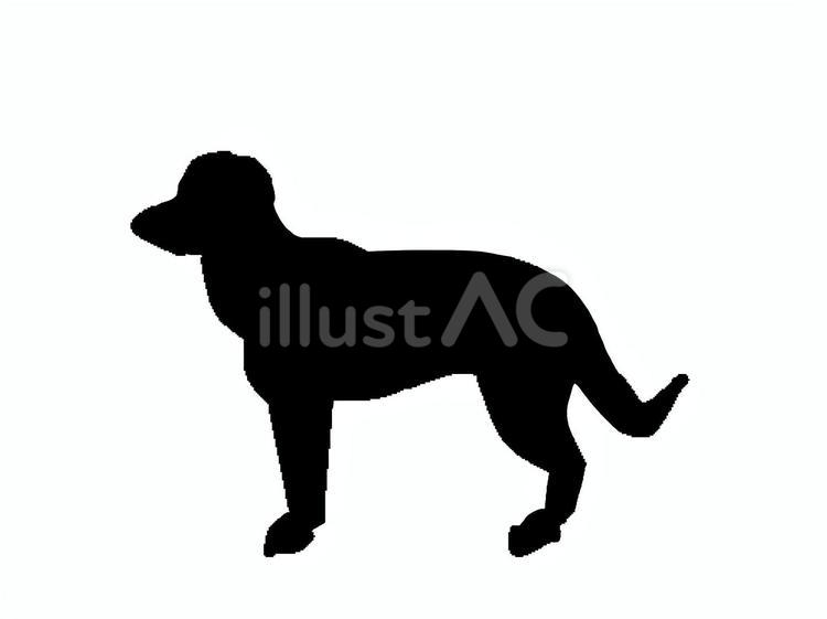 犬。。 犬,シルエット,動物のイラスト素材