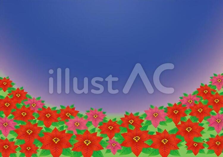 ポインセチア咲く冬の風景・背景 花,ポインセチア,xmasのイラスト素材