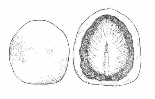 いちご大福の手描きイラスト 大福,イチゴ,和菓子,食べ物,果物,生菓子,断面,手描き,リアル,モノクロのイラスト素材