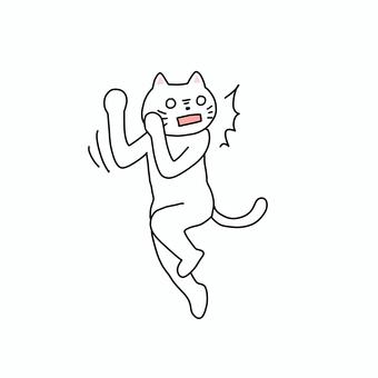 びっくりする白猫