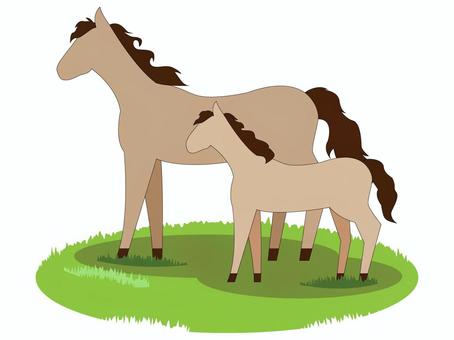 馬の親子 馬の親子 馬,仔馬,午,干支,野生,動物,家畜のイラスト素材