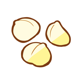 マカダミアナッツ 食べ物,マカダミアナッツ,ナッツ,素焼き,おやつ,間食,木の実,手書きのイラスト素材