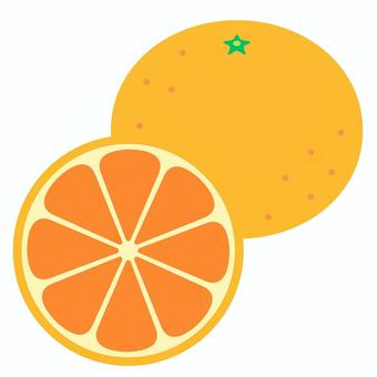 みかん_断面_前 みかん,断面,冬の果物,果物,冬,アイコン,シンプル,背景透過,透過,イラストのイラスト素材