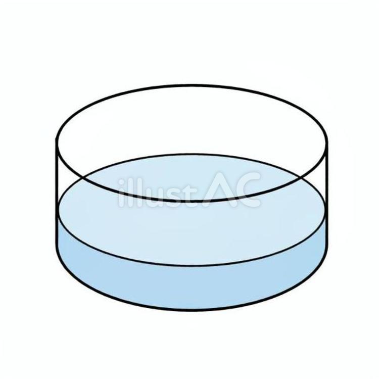 2～3日後の水 シャーレ,水,液体のイラスト素材