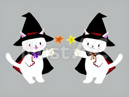 猫 魔法使い イラスト
