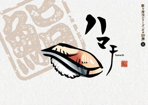 寿司50種_11_ハマチ 寿司,ハマチ,魚,にぎり寿し,江戸前,和食,日本食,刺身,ごはん,料理のイラスト素材