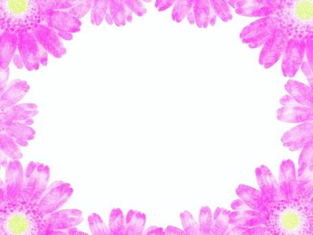 Illustration, gerbera, flower, frame, JPG