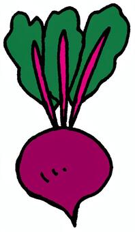 ビーツ ビーツ,根,葉,野菜,農作物,畑,家庭菜園,農家,農業,八百屋のイラスト素材