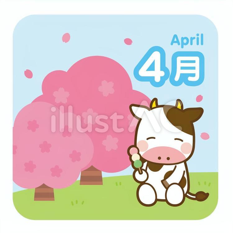 4月　お花見をする牛 4月,牛,丑のイラスト素材