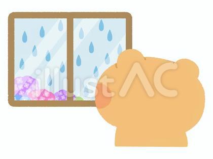 室内から雨が降るのを見るくま