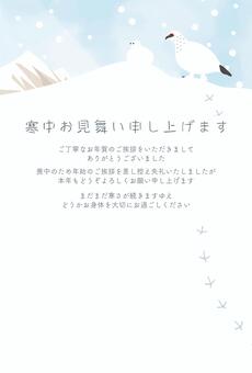 寒中お見舞い 喪中の挨拶文-雷鳥- 寒中お見舞い,挨拶状,ポストカード,ハガキ,喪中,冬,季節,雷鳥,鳥,雪山のイラスト素材