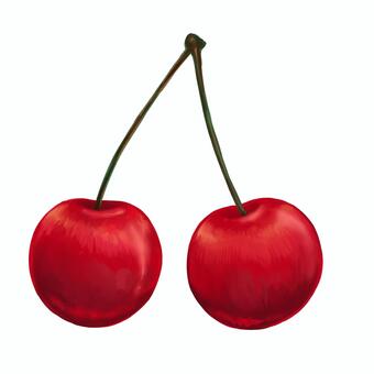 さくらんぼ さくらんぼ,果物,食べ物,厚塗り,赤のイラスト素材