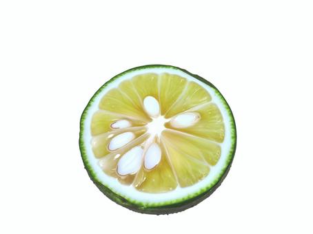秋のサンマや料理に添えるすだちやかぼす すだち,かぼす,柑橘類,食品,秋,味覚,果物のイラスト素材