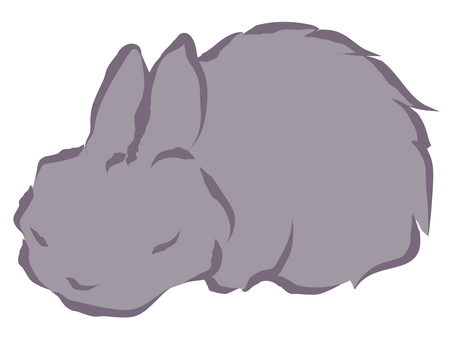 Illustration, netherland dwarf, rabbit, animal, 