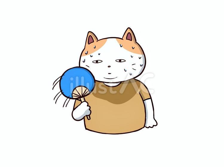 うちわで仰ぐ汗をかいている猫のイラスト 猫,汗,うちわのイラスト素材