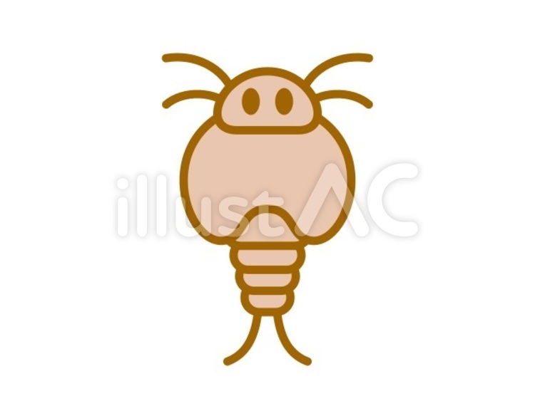 カブトエビ　茶 カブトエビ,動物,生き物のイラスト素材