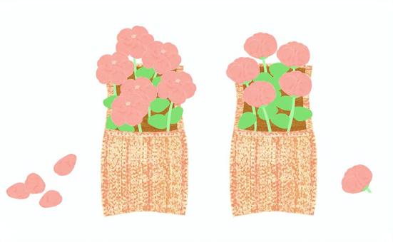 花壇 花壇,つぼみ,花びら,咲く,土,ガーデニング,庭,植える,生える,栽培のイラスト素材