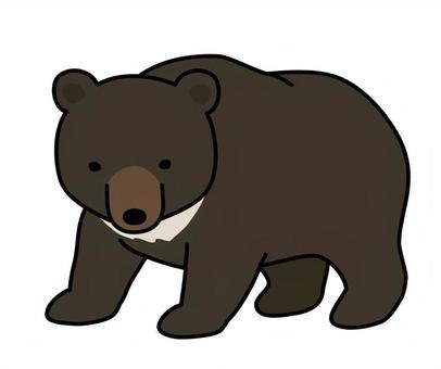 熊　ツキノワグマ 熊,ツキノワグマ,動物,獣,黒,イラストのイラスト素材
