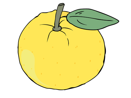 ゆず 柚子,柑橘,実,主線あり,ゆるかわ,かわいい,広告,チラシ,cm,白背景のイラスト素材