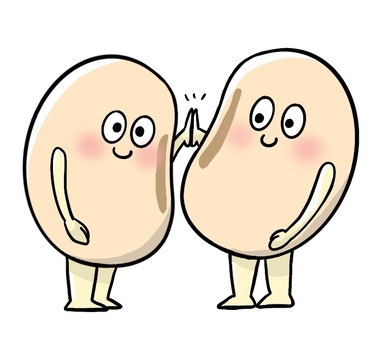soybean, sojabohnen, bohnen, anthropomorphen, JPG and PNG