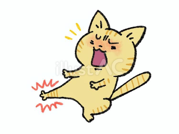 こむら返りで痛がる猫ちゃん 猫,足がつる,こむら返りのイラスト素材