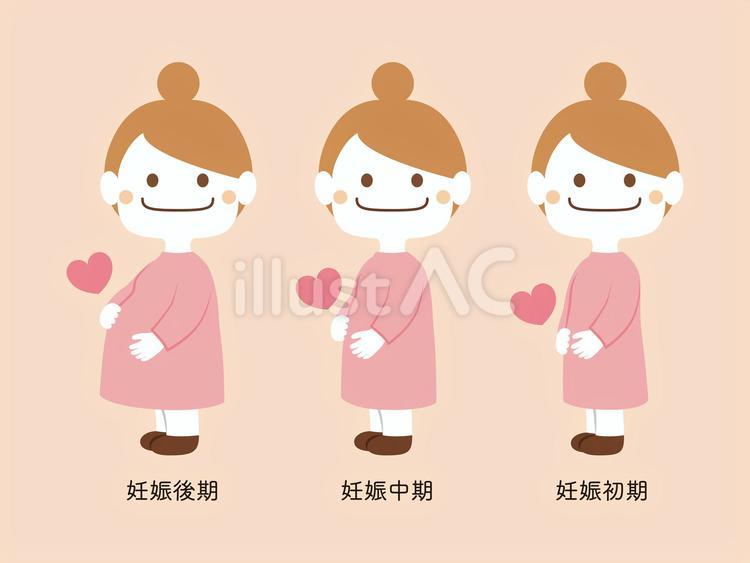妊婦_体型の変化_おだんごヘア 妊婦,妊娠,マタニティのイラスト素材